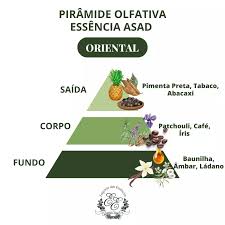 Pirâmide Olfativa (Nosso Produto)